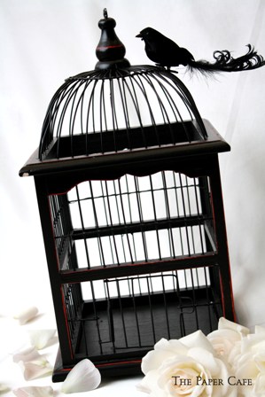 Bird Cage Black